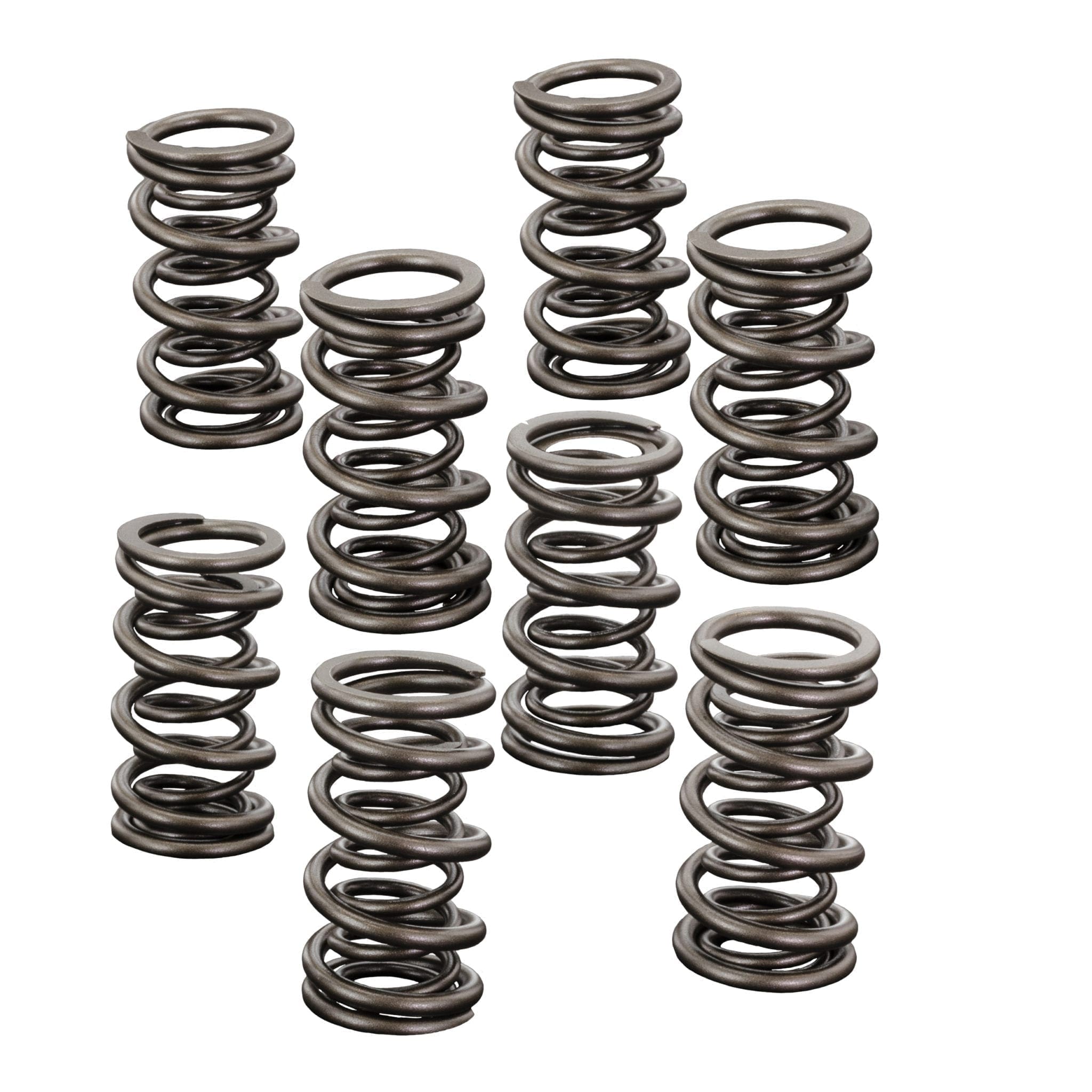 VW Dual Springs 1.550" Installed Height SCAT VW